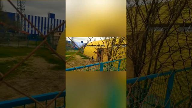 Зоопарк самый большой в Украине смотреть онлайн