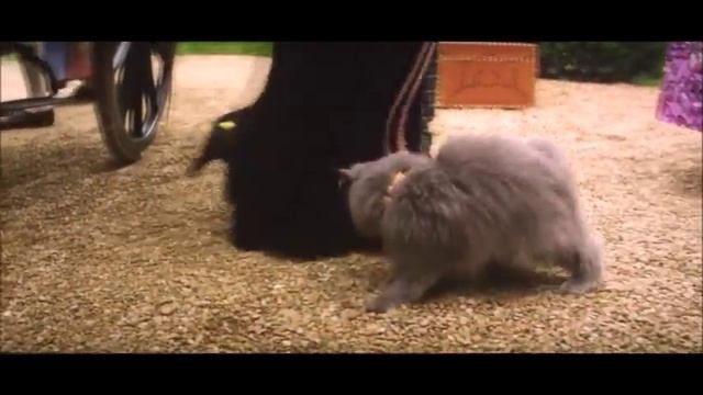 Золушка Мачехе смотреть онлайн