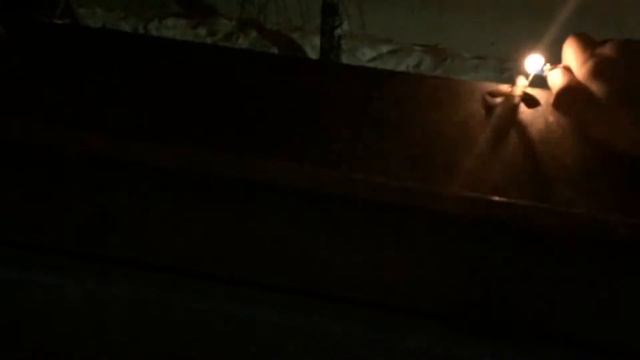 SlowMo №1 - Петарда 