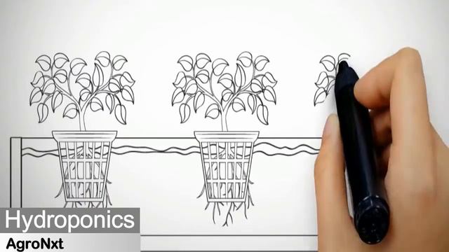 Advanced Hydroponic System for crops -Choice of young farmer-India/Punjab смотреть онлайн
