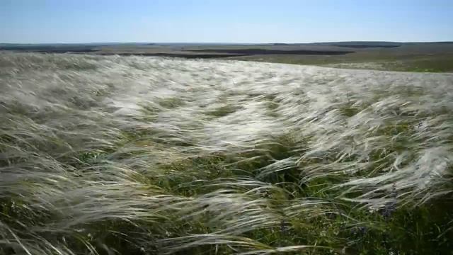 Оренбургские степи смотреть онлайн