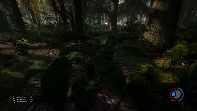 The Forest Coop I Пробуем приручить дикарей