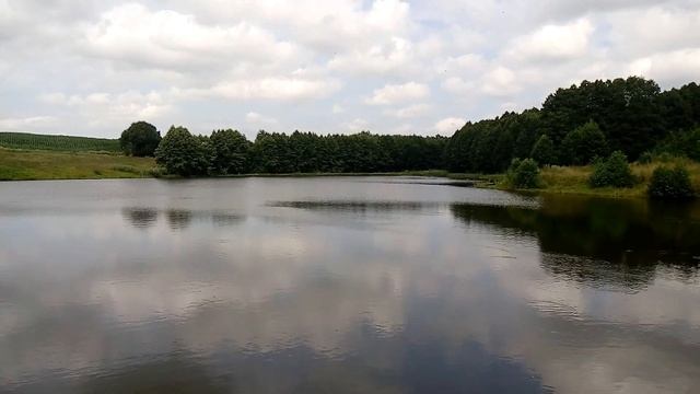 Озеро у д.Вертники. Рыбалка. Видеосюжет. смотреть онлайн