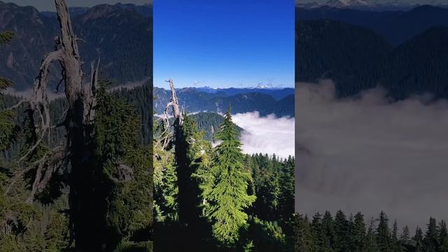 Mon point de vue préféré de la montagne смотреть онлайн