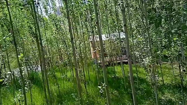 Ак-су или "белая вода".шумная река#best #горы #природа #красота #горнаярека смотреть онлайн