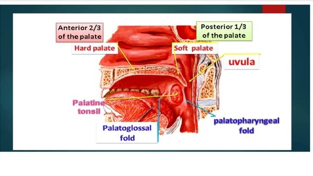 practical GIT 1 смотреть онлайн