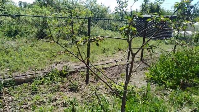 Уроки Пения и Вокала