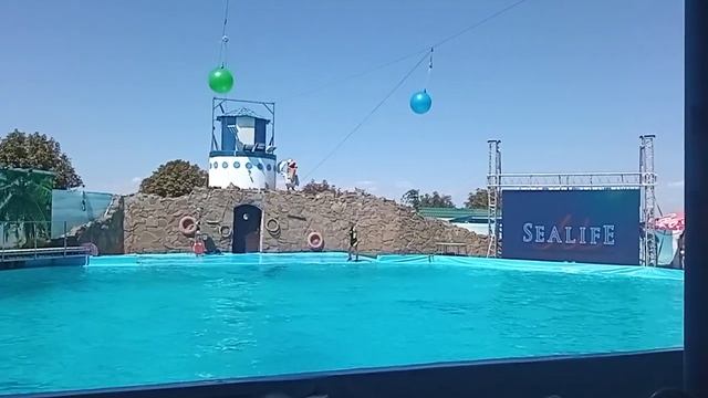 Обошла все законы?подарок номер 1 ? моим любимым подписчикам от Вашей Юляши???? смотреть онлайн