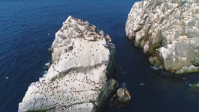 Афина. Бухта Бечевинская