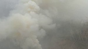 Военная Дымовая шашка ДМ-11 (НДШ) в деле!!! как вам ЭФФЕКТ???