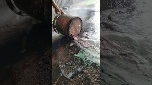 чистка саженые фильтра и регенерация  DAF 106 460