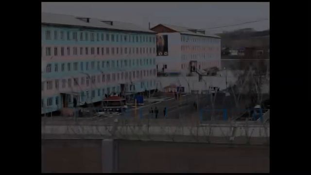 Гио пика чёрный дельфин смотреть онлайн