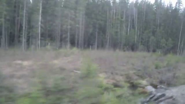 Вид из окна пригородного поезда Лодейное Поле — Питкяранта. Перегон Питкяранта — Салми смотреть онлайн