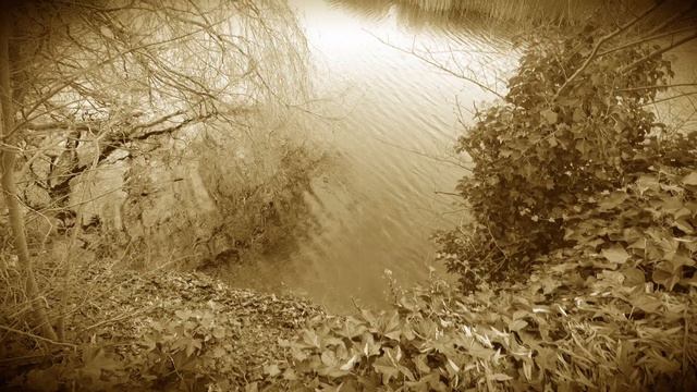 Зловещий замок от которого становится дурно смотреть онлайн