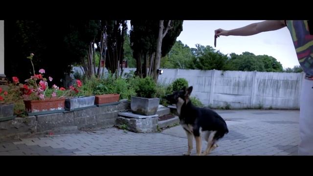 Test Canon 650D 18-55mm смотреть онлайн