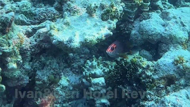 Ideal Für Einen Hochwertigen Urlaub! BARCELO WHALE LAGOON MALDIVES 5*