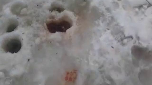 случайно поймали карпа на самодур)) смотреть онлайн