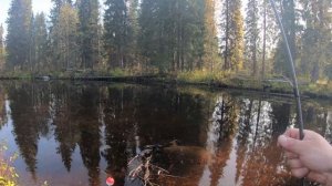 Рыбалка Хариус на севере . Крупняк хариус.