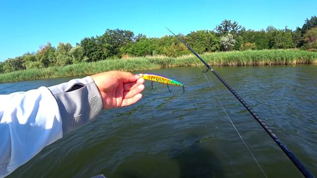 Лучший Доступный Спиннинг для Твичинга Воблеров 2021 Zemex Rexar!