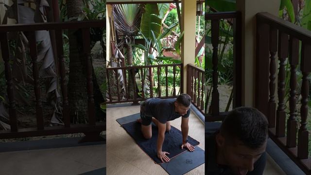 Симхасана - Поза рычащего льва смотреть онлайн