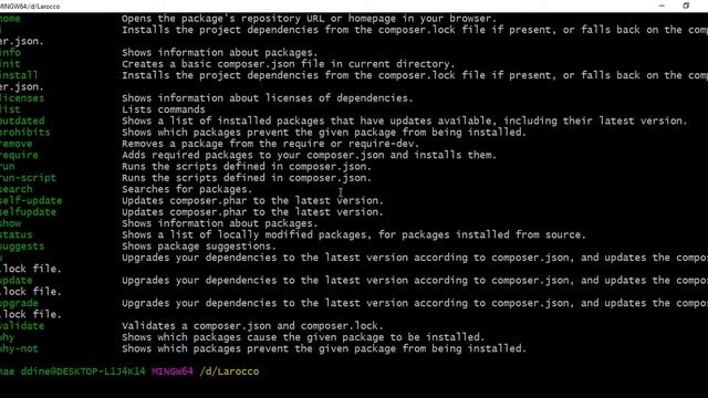 Laravel 6 tutorial - Episode 1 : Installation смотреть онлайн