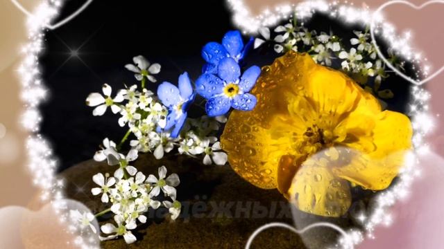 С Днём Рождения, Полина! Красивое поздравление с Днём Рождения для Полины. смотреть онлайн