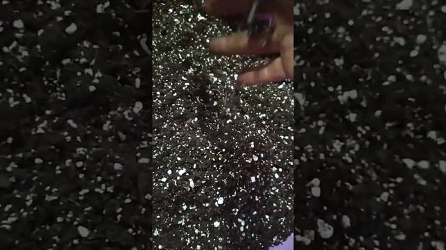 идеальный грунт для рассады!!! #пикировка #грунт #рассада # пикировка # перлит #вермикулит смотреть онлайн