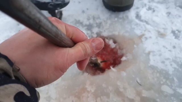 Щука на 6 кг!! смотреть онлайн