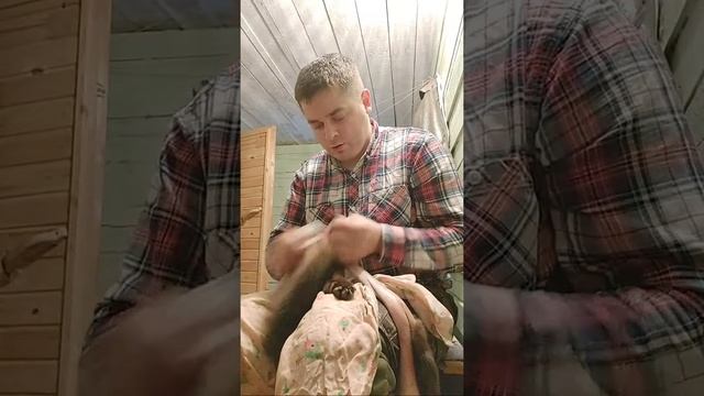 Разделываю Соболя смотреть онлайн