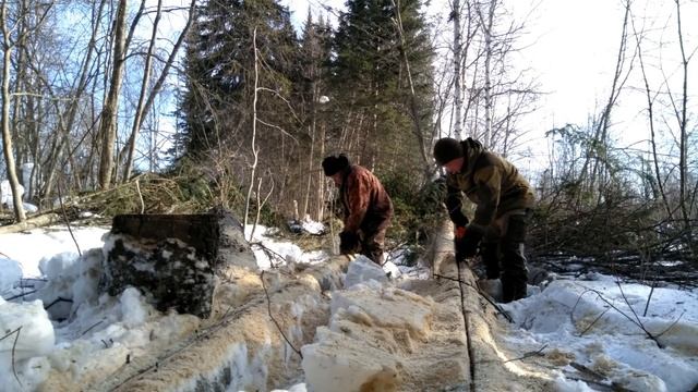 Охота. Весна. Подготовка.Часть 2. (Постройка избы.) смотреть онлайн