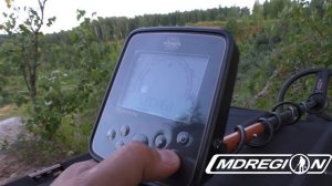 Металлоискатель WHITES TREASURE PRO обзор