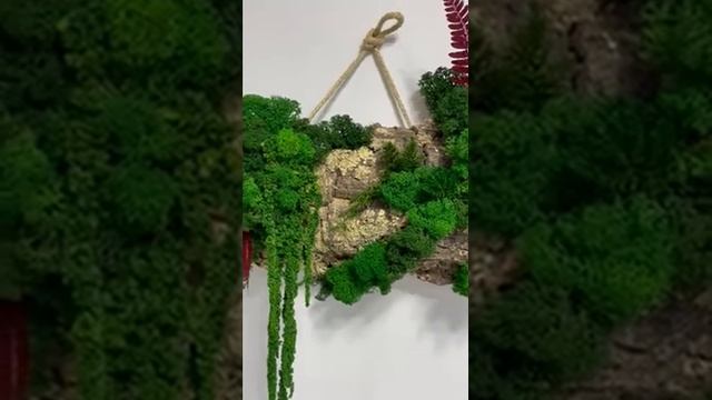 Scandinavian moss with cork смотреть онлайн