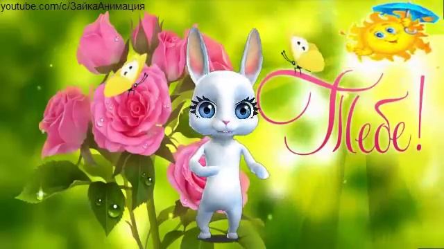 ZOOBE зайка Шуточное Поздравление с 8 Марта
