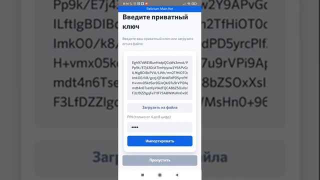Relictum Pro подробная инструкция по импорту приватного ключа ноды