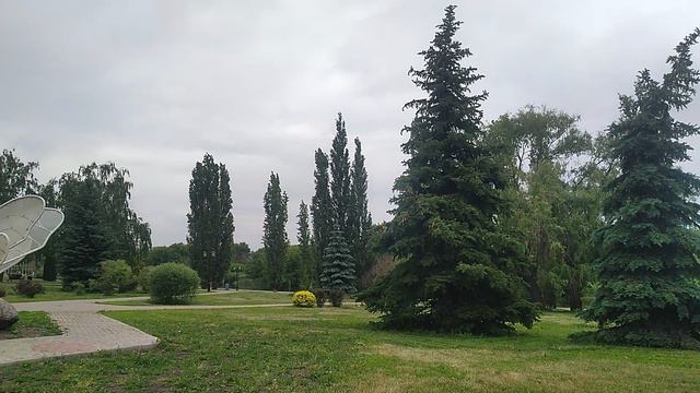 Малые архитектурные формы на набережной канала реки Цна в Тамбове смотреть онлайн