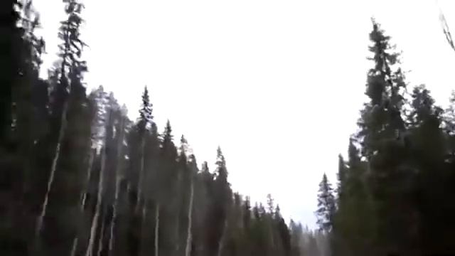Конь людоед среди нас смотреть онлайн