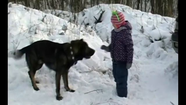 Турнир (ППП) на СДП- "Москворечье" 14.01.12 смотреть онлайн