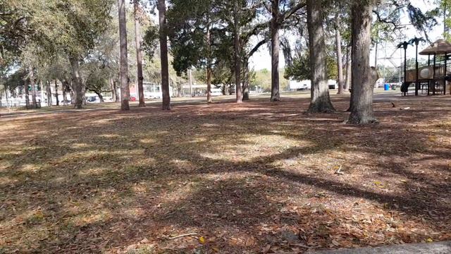 Это слово мудрый человек не скажет! смотреть онлайн