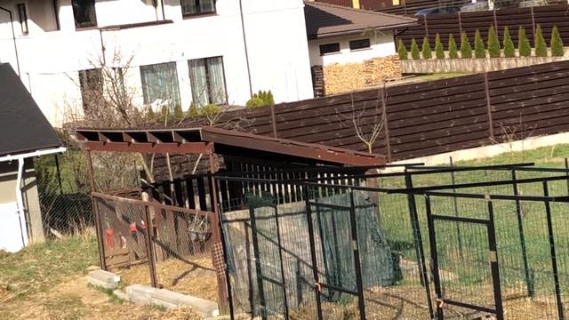 Наши глобальные строения питомника ! смотреть онлайн