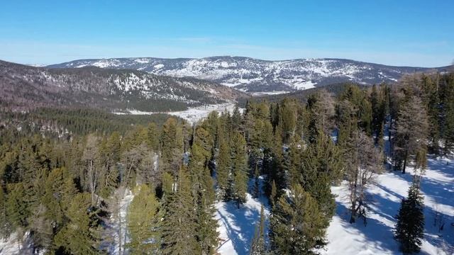 Западно-Алтайский заповедник смотреть онлайн