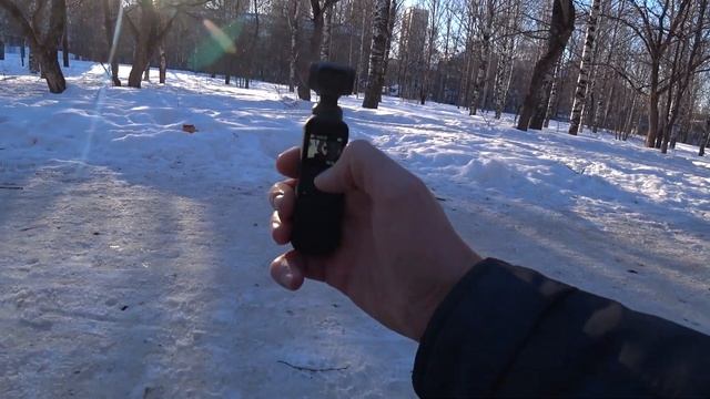 Камера Dji Osmo Pocket и Sony As 300 пример видео. Прогулка в парке