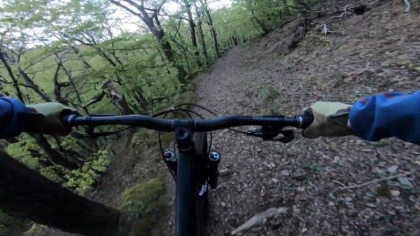 Dartmoor Primal 29 || Hardtail Enduro