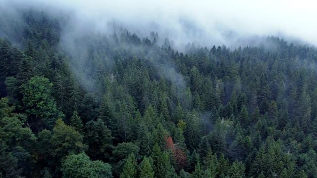 Мужчина запечатлел необычный кадр! Такое никто не должен был увидеть! смотреть онлайн