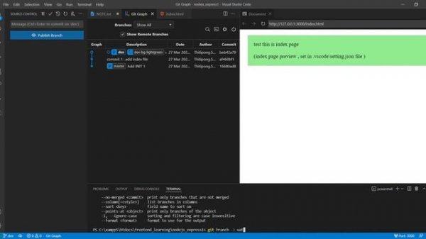 VSCode + Git +  Git Graph