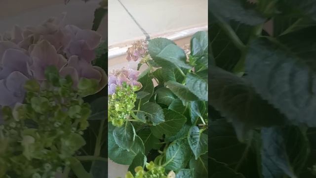 как сейчас выглядит Серия switch смотреть онлайн