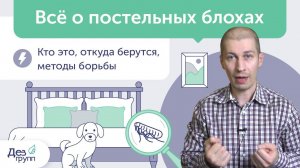 Блохи в квартире и доме: кто это, откуда, как быстро вывести? |  Как избавится от блох? | Убить блох