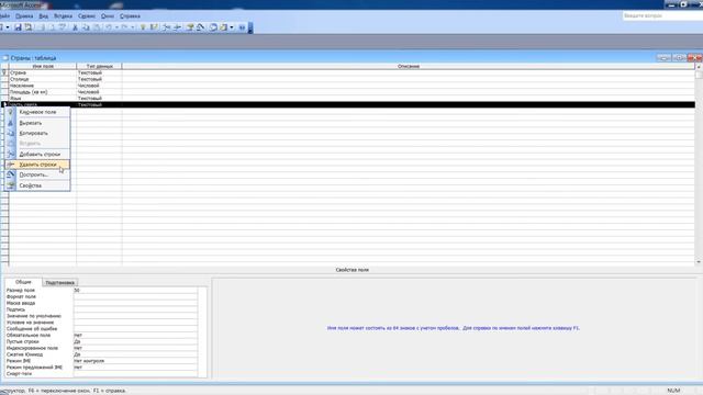 Порядок модификации таблицы с помощью Microsoft Office Access смотреть онлайн