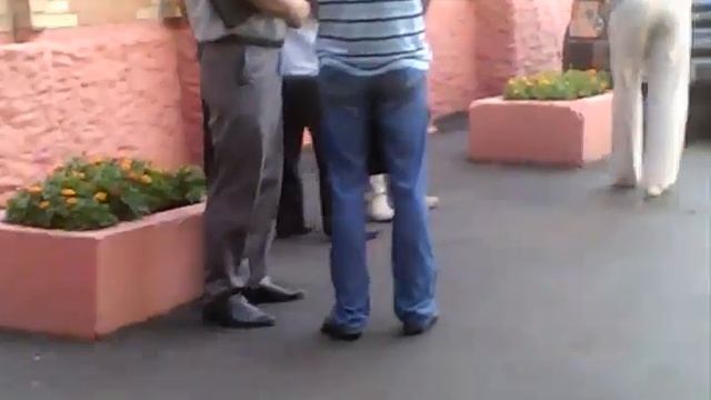 Слепов продолжение !