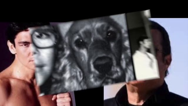 MICHAEL JAI WHITE FIGHTS THE EXPENDABLES HD 1080p смотреть онлайн